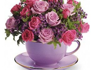 Cup of Roses