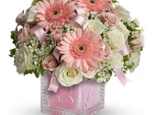 Baby Girl - Welcome