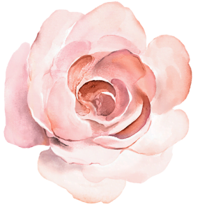 Vibrant Blooms