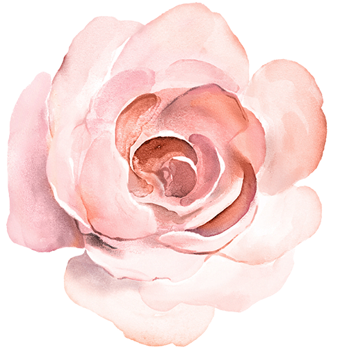 Vibrant Blooms