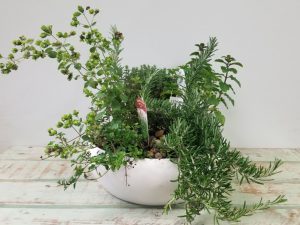 Herb Garden