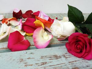 Rose Petals
