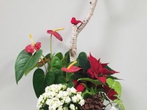 Winter Planter